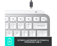 LOGITECH Klawiatura bezprzewodowa MX Keys Mini 920-010499 jasnoszara - 680463 - zdjęcie 5